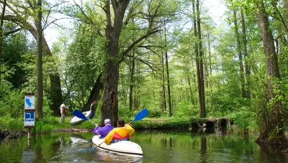 Warmia i Mazury kajakiem: Najpiękniejsze szlaki i praktyczny poradnik