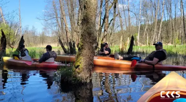 Instruktor kajakarstwa Wrocław: Od pasji do zawodu. Kursy i praca