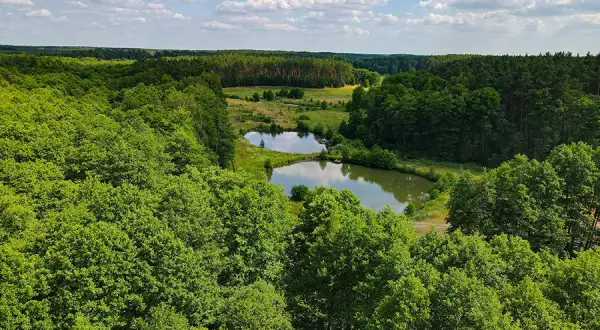 Gdzie na kajaki Zachodniopomorskie? Odkryj idealny szlak!